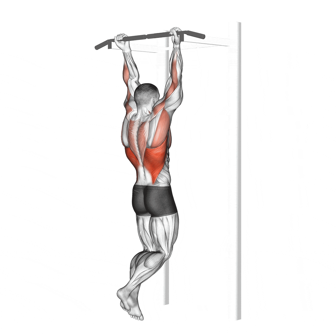 Chin-up — Upper Body Strength