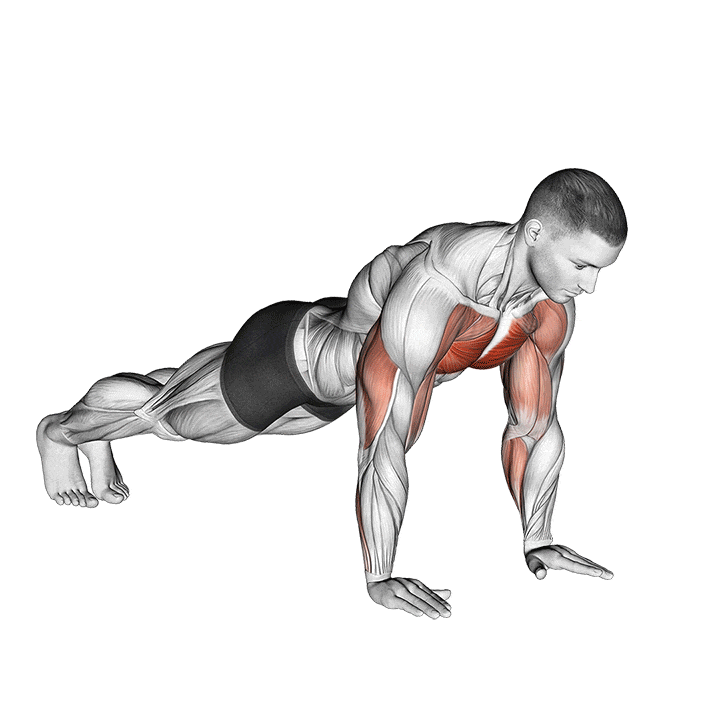 Plyometric Push-ups — Explosive Chest Power