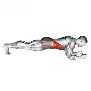 Plank — Core Strength