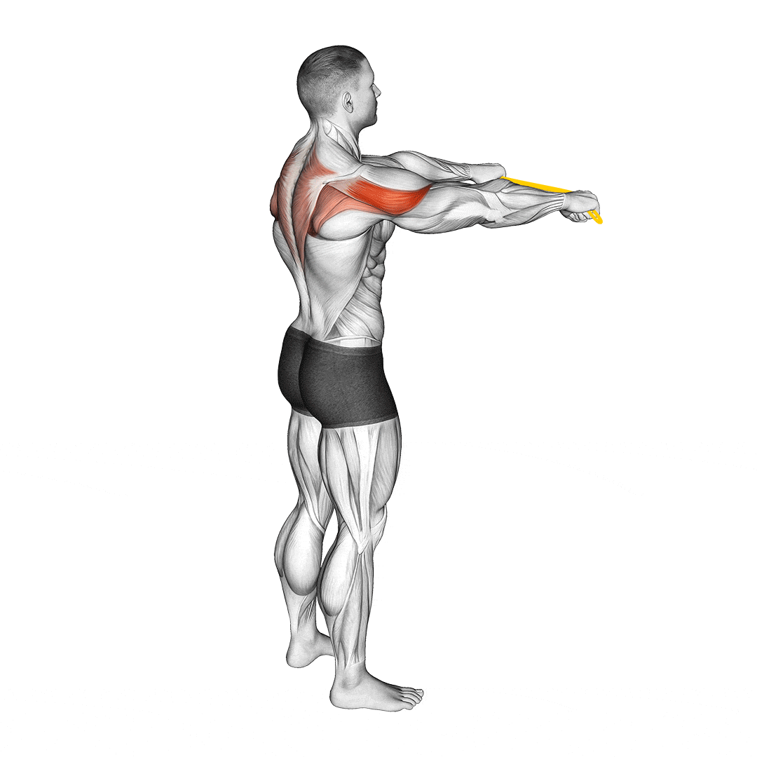Reverse Fly (Band) — Back & Posture